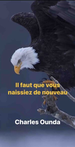 IL FAUT QUE VOUS NAISSIEZ DE NOUVEAU