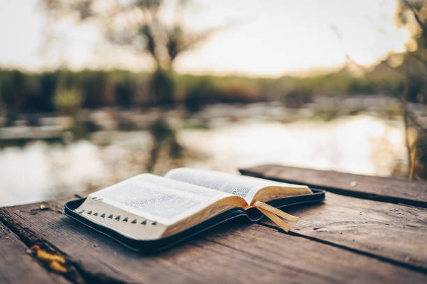 POURQUOI JE CROIS QUE LA BIBLE EST VRAIE (2).